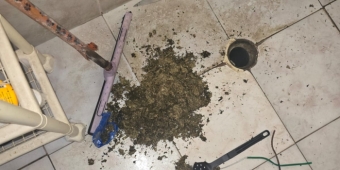 Imagem de capa da notícia