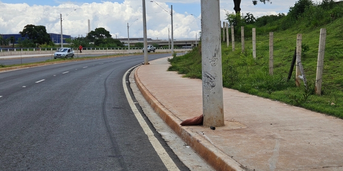 Foto de capa da notícia