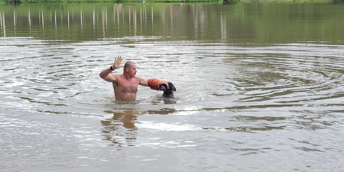 Foto de capa da notícia