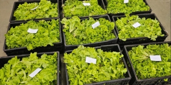 Imagem de capa da notícia