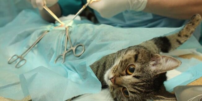 Foto de capa da notícia