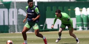 Imagem de capa da notícia