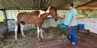 Imagem de capa da notícia