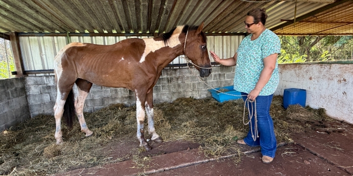 Foto de capa da notícia
