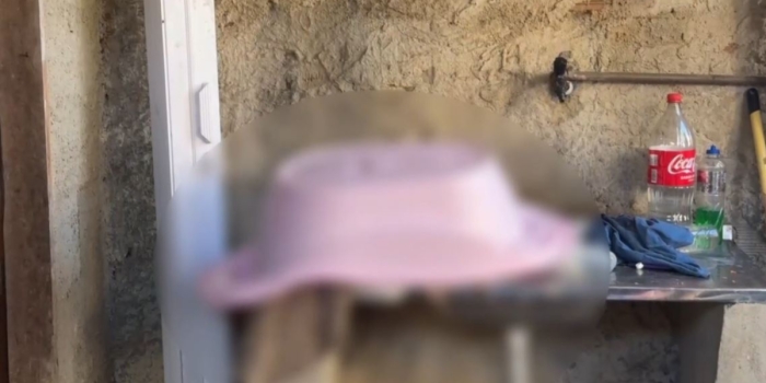 Foto de capa da notícia
