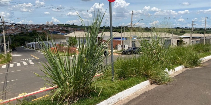 Foto de capa da notícia