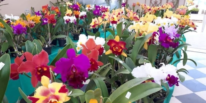 Foto de capa da notícia