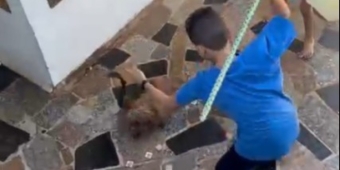 Imagem de capa da notícia
