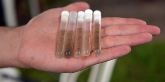 Imagem de capa da notícia