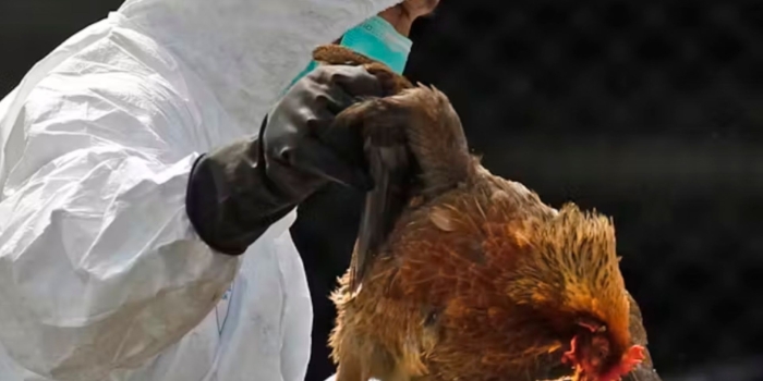 Foto de capa da notícia