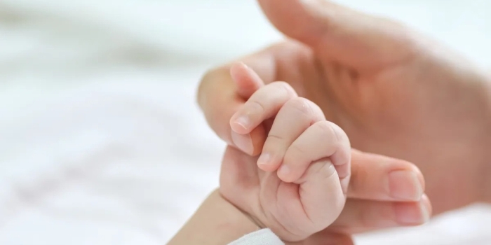 Foto de capa da notícia