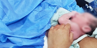 Imagem de capa da notícia