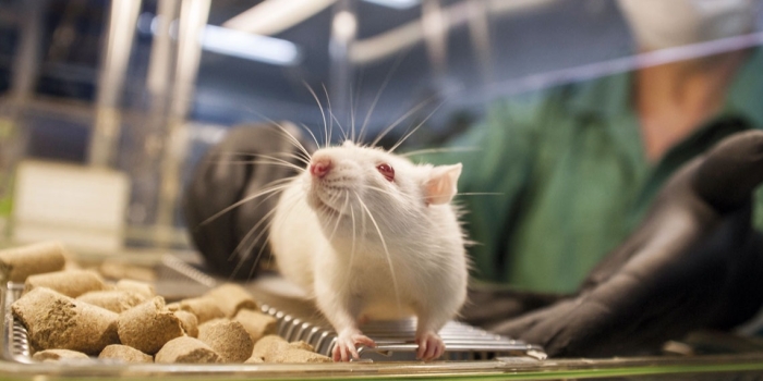 Foto de capa da notícia