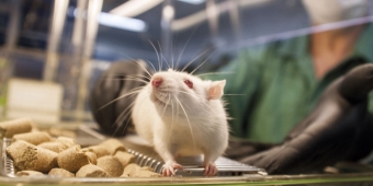 Imagem de capa da notícia