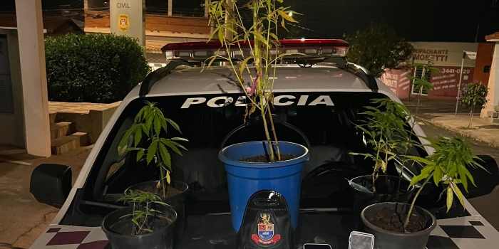 Foto de capa da notícia