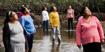 Imagem de capa da notícia