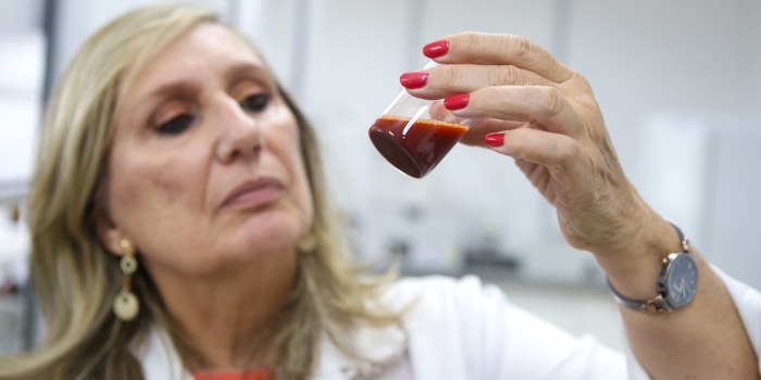 Foto de capa da notícia