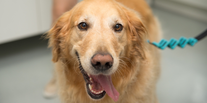 Foto de capa da notícia