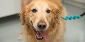 Imagem de capa da notícia