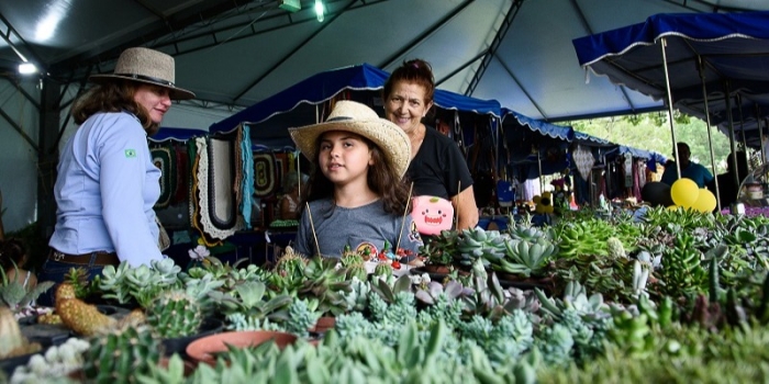 Foto de capa da notícia