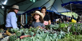 Imagem de capa da notícia