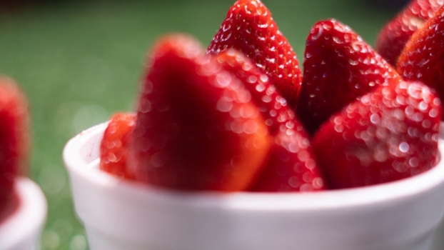 Foto de capa da notícia