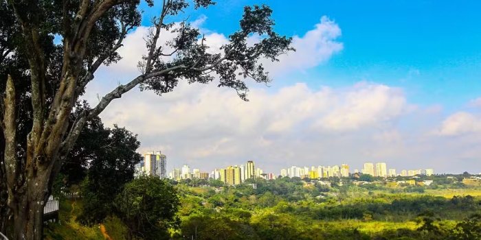Foto de capa da notícia