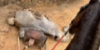 Imagem de capa da notícia