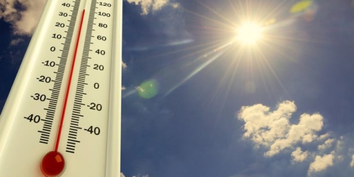 Foto de capa da notícia