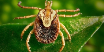 Imagem de capa da notícia