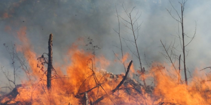 Foto de capa da notícia