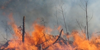 Imagem de capa da notícia