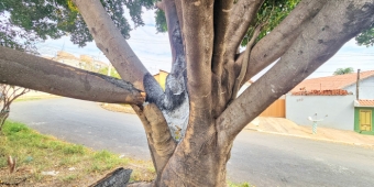 Imagem de capa da notícia