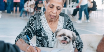 Imagem de capa da notícia