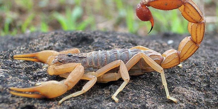 Foto de capa da notícia