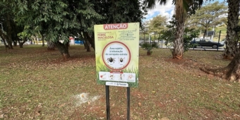 Imagem de capa da notícia