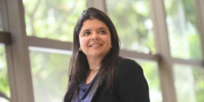 Foto de capa da notícia