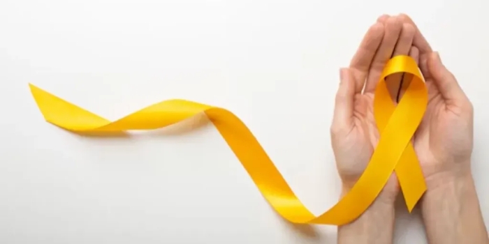 Foto de capa da notícia