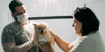 Imagem de capa da notícia