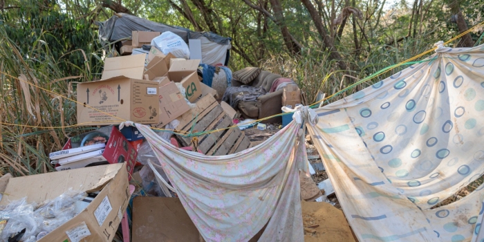 Foto de capa da notícia