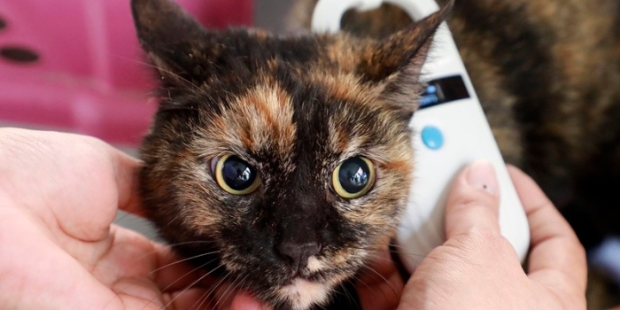 Foto de capa da notícia