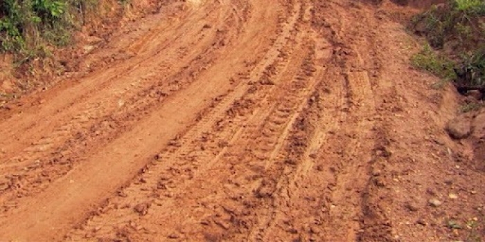 Foto de capa da notícia