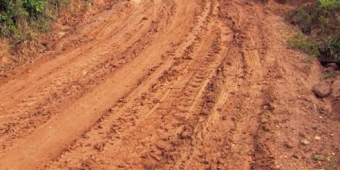 Imagem de capa da notícia