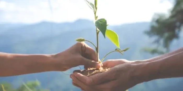 Foto de capa da notícia