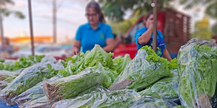 Foto de capa da notícia