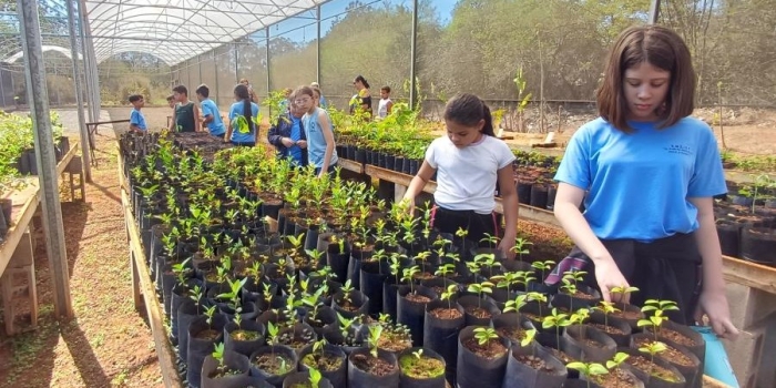 Foto de capa da notícia
