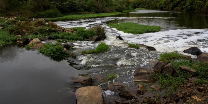 Foto de capa da notícia