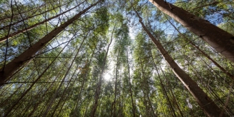 Imagem de capa da notícia