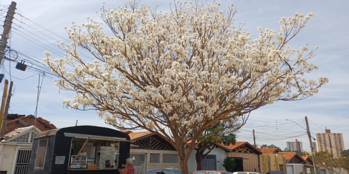 Foto de capa da notícia
