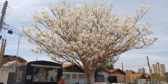 Imagem de capa da notícia